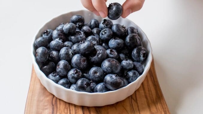 person holding bowl of black berries